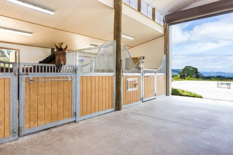 Photo of property in 134 Hitiri Road, Kinloch, Taupo, 3377