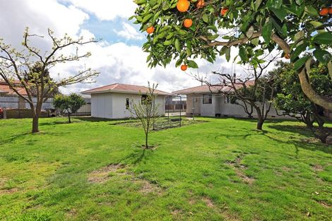 Photo of property in 3 Nicholson Street, Mayfair, Hastings, 4122