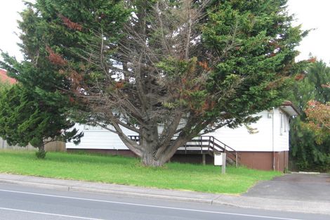 Photo of property in 143 Universal Drive, Henderson, Auckland, 0610