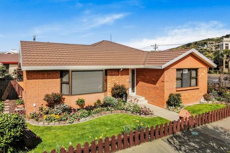 Photo of property in 18 Albert Street, Saint Clair, Dunedin, 9012