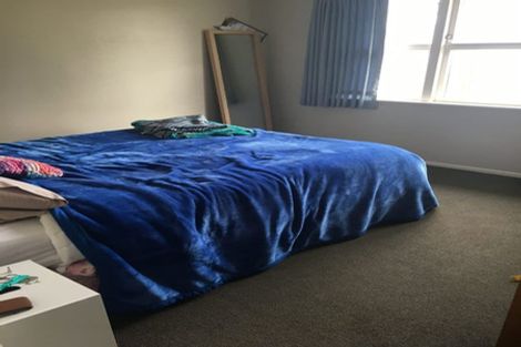 Photo of property in 91 Aurora Terrace, Hillcrest, Hamilton, 3216