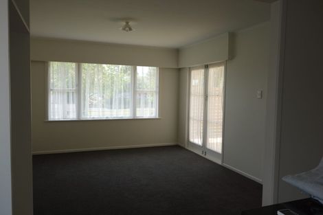 Photo of property in 17 Augusta Street, Fairfield, Hamilton, 3214