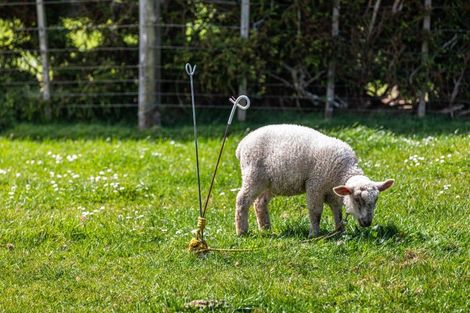 Photo of property in 231 Hart Road, Pukekohe, 2676