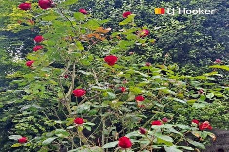 Photo of property in 63 Argyle Street, Mornington, Dunedin, 9011