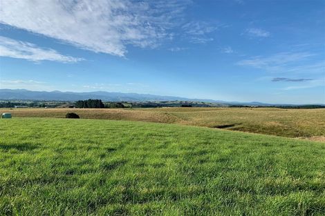 Photo of property in 261 Millars Road, Longbush, 5792