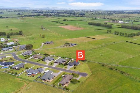 Photo of property in 21 Ridgeview Drive, Te Aroha, 3392