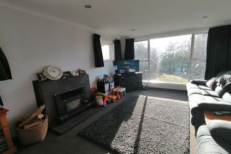 Photo of property in 155 Helensburgh Road, Wakari, Dunedin, 9010
