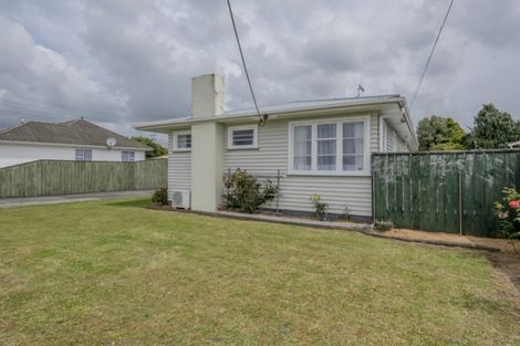Photo of property in 61 Mako Mako Road, Levin, 5510