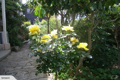 Photo of property in 80 Newington Avenue, Maori Hill, Dunedin, 9010