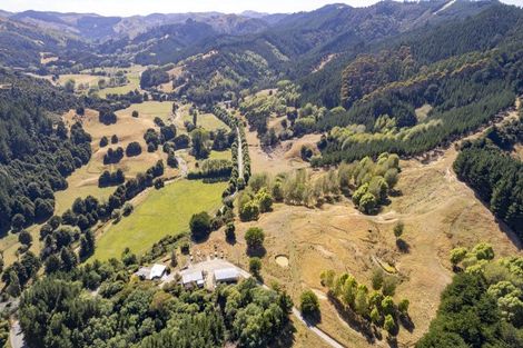 Photo of property in 196 Tinui Valley Road, Tinui Valley, Tinui, 5894