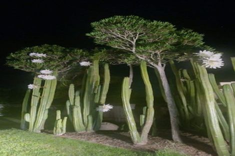 Photo of property in 35 Tipahi Street, Nelson South, Nelson, 7010