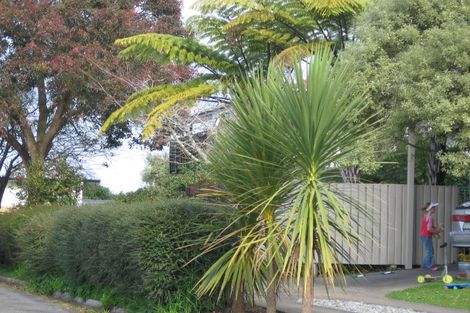 Photo of property in 155 Ellicott Road, Nawton, Hamilton, 3200