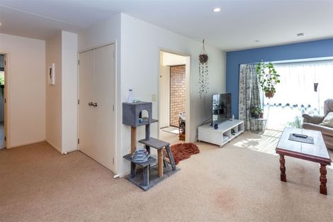 Photo of property in Mayfair Gardens, 3/2 Mayfair Close, Whitianga, 3510