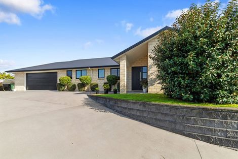 Photo of property in 13 Ballybunnion Crescent, Morrinsville, 3300