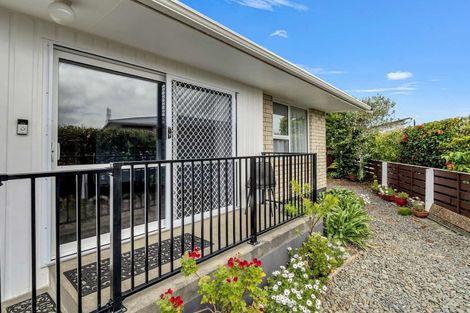 Photo of property in 83b Surrey Road, Springvale, Whanganui, 4501