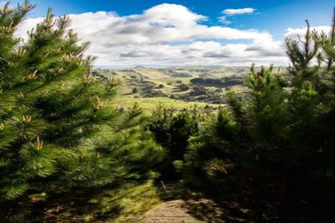 Photo of property in 81d Middle Road, Tohunga Junction, Raetihi, 4696