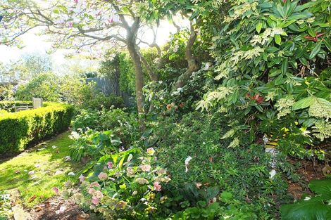 Photo of property in 66 Mowbray Street, Watlington, Timaru, 7910