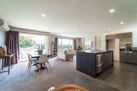 Photo of property in 17 Clematis Place, Wigram, Christchurch, 8042