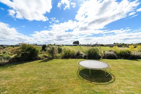 Photo of property in 14 Fallow Avenue, Feilding, 4775