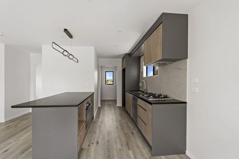 Photo of property in 49d Webster Avenue, Mount Roskill, Auckland, 1041