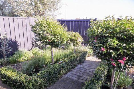 Photo of property in 29 Carters Road, Amberley, 7410