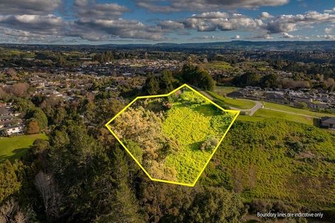 Photo of property in 99 Carmen Way, Ohauiti, 3112
