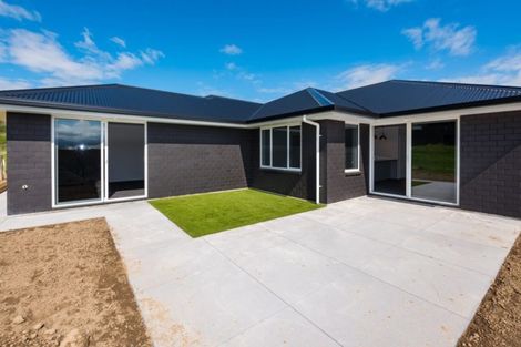 Photo of property in 3 Solomon Place, Witherlea, Blenheim, 7201