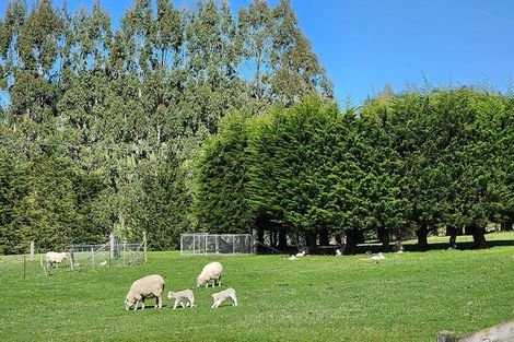 Photo of property in 93 Three Mile Hill Road, Halfway Bush, Dunedin, 9076