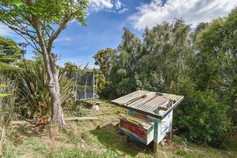 Photo of property in 52 Skibo Street, Kew, Dunedin, 9012