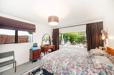 Photo of property in 67 Winchester Street, Ashhurst, 4810