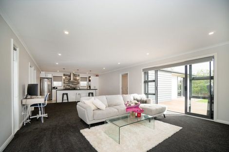 Photo of property in 55a Ferguson Street, Awapuni, Palmerston North, 4412