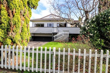 Photo of property in 101 Heale Street, Thames, 3500