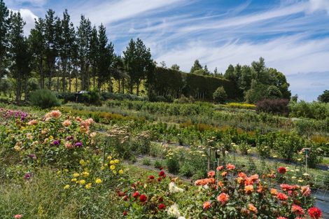 Photo of property in 259 Wainui Road South, Whakamarama, Katikati, 3181