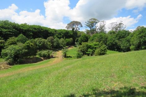 Photo of property in 45b Blue Gum Lane, Kerikeri, 0293