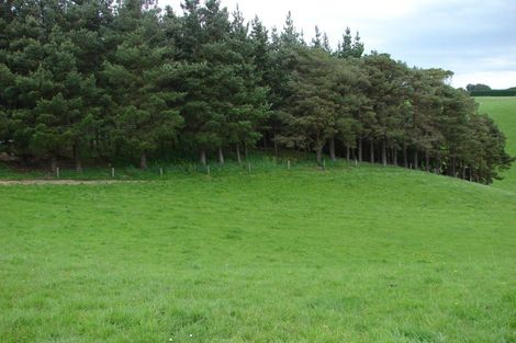 Photo of property in 217 Tussock Creek Grove Bush Road, Grove Bush, Invercargill, 9872