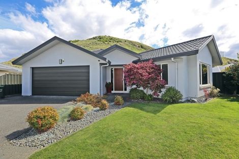 Photo of property in 5 Chenin Place, Greenmeadows, Napier, 4112