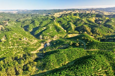 Photo of property in 751 Ongo Road, Hunterville, 4782