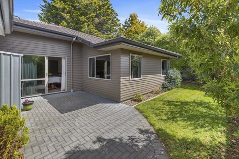 Photo of property in 117a Kawaha Point Road, Kawaha Point, Rotorua, 3010