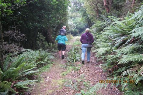 Photo of property in 26 Lookout Drive, Little Valley, Alexandra, 9320