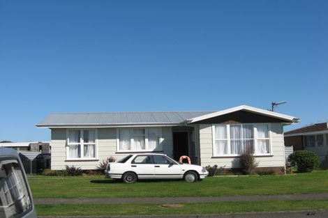Photo of property in 60 Hinemoa Street, Levin, 5510