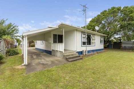 Photo of property in 20 Mckenzie Street, Levin, 5510