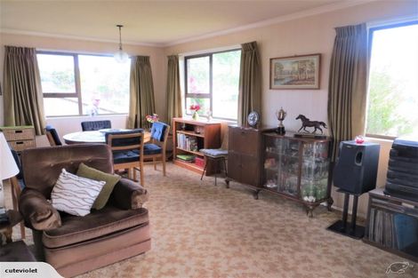 Photo of property in 21a Bowen Street, Cambridge, 3434