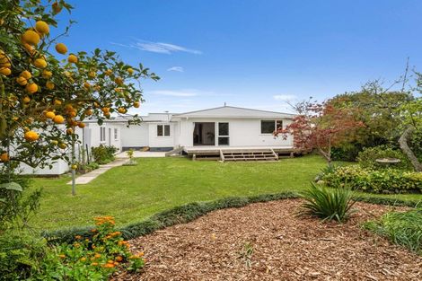 Photo of property in 113 Stanford Street North, Ashhurst, 4810