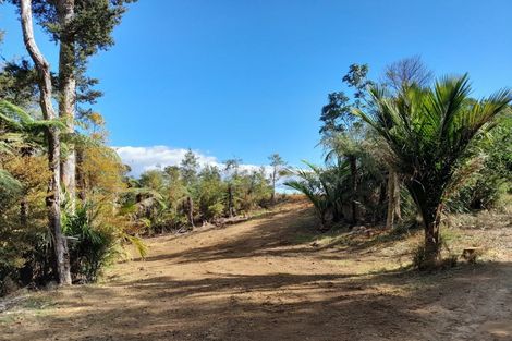 Photo of property in 109 Kawhina Lane, Kuaotunu, Whitianga, 3592