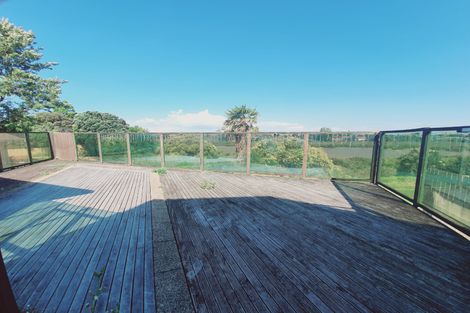 Photo of property in 29 Mataroa Road, Mount Wellington, Auckland, 1062