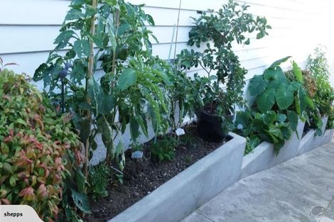 Photo of property in 223 Powderham Street, New Plymouth, 4310