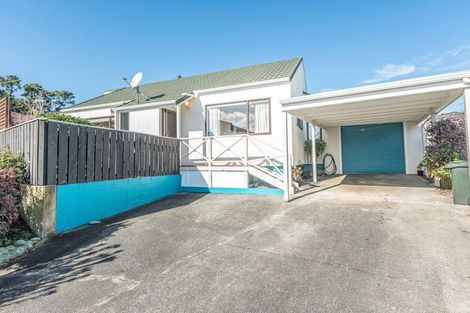 Photo of property in 22 Treadwell Street, Springvale, Whanganui, 4501