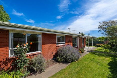 Photo of property in 62 Litchfield Street, Redwoodtown, Blenheim, 7201