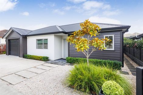 Photo of property in 83b Fitzroy Street, Terrace End, Palmerston North, 4410