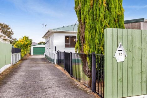 Photo of property in 12 Achilles Street, Stratford, 4332